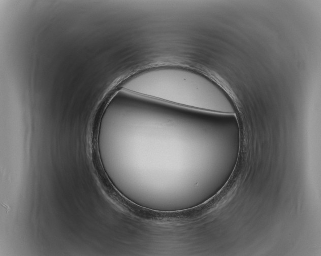 X0000116140530200911230933