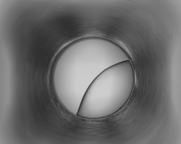 X0000116140531200911230933