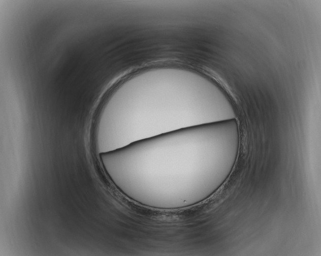 X0000116140535200911230933
