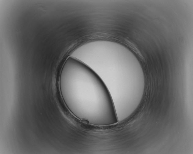 X0000116140538200911230933