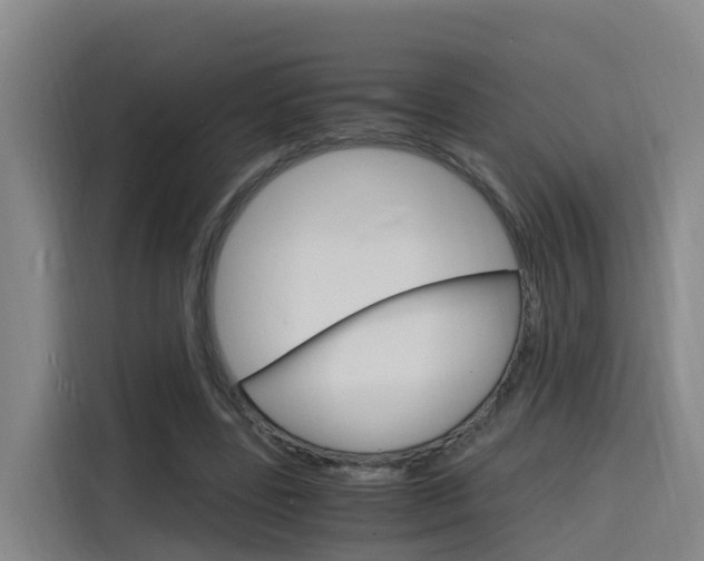 X0000116140539200911230933