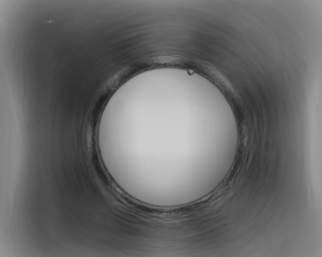 X0000116140542200911230933