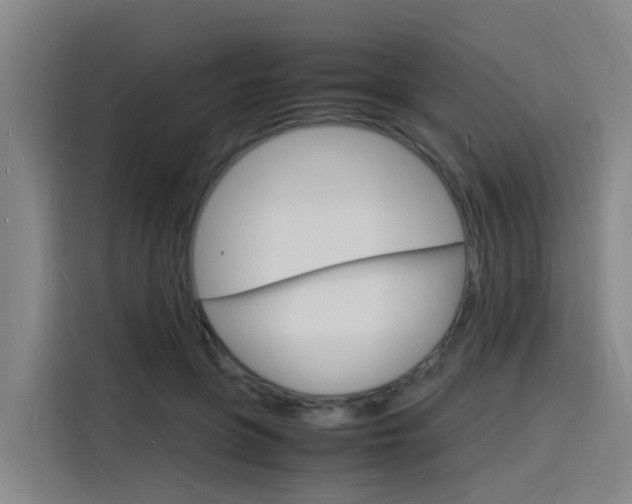 X0000116140551200911230934