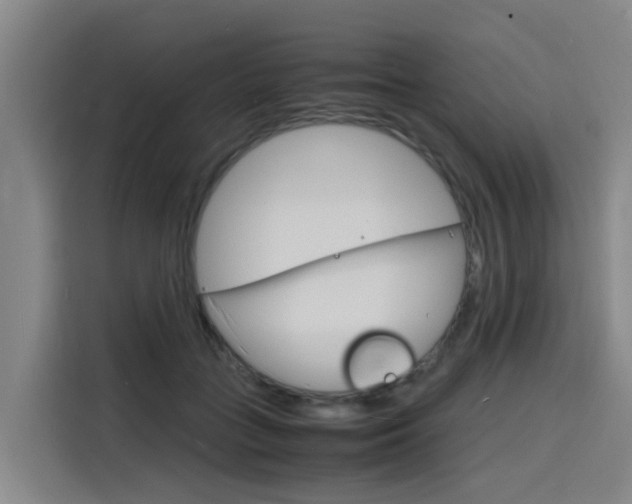 X0000116140555200911230934