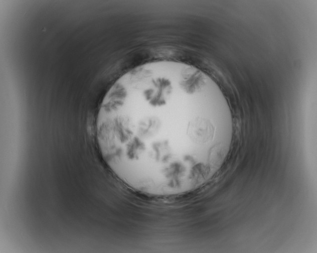 X0000116140561200911230934