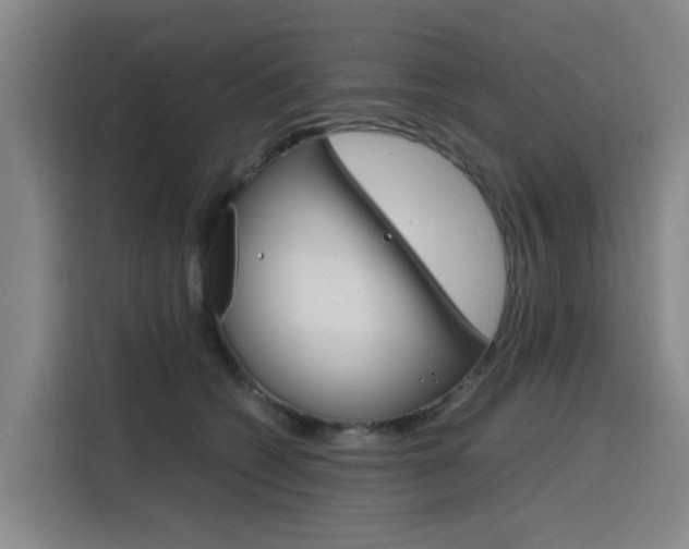X0000116140562200911230934