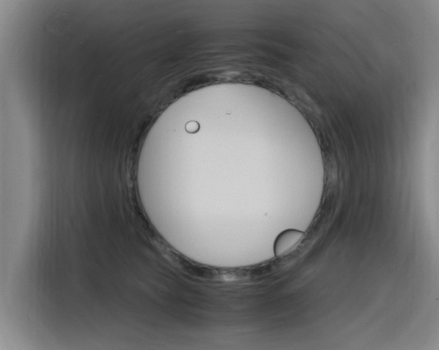 X0000116140565200911230934