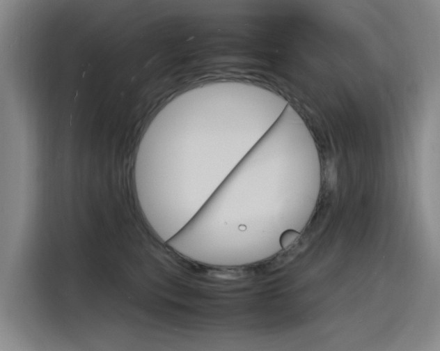 X0000116140567200911230934