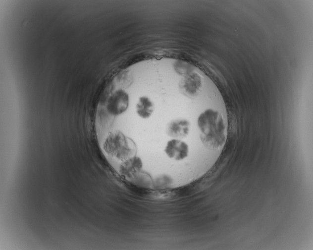 X0000116140569200911230934