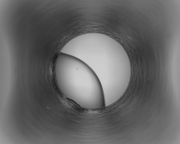 X0000116140570200911230934