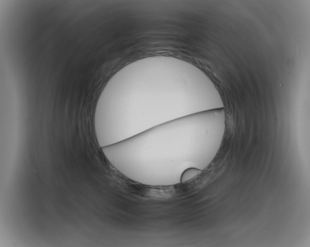 X0000116140571200911230934