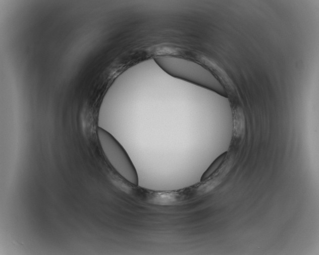 X0000116140573200911230934