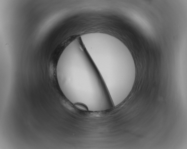 X0000116140574200911230934