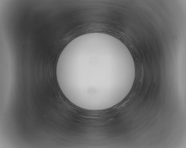 X0000116140575200911230934
