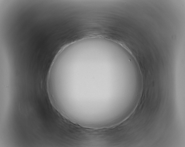 X0000116140579200911230933