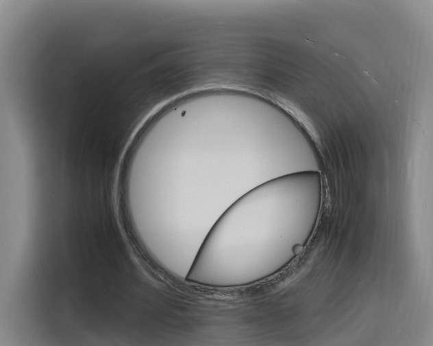 X0000116140580200911230933