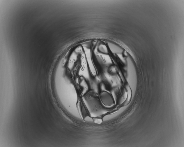 X0000116140581200911230933