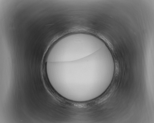 X0000116140582200911230933
