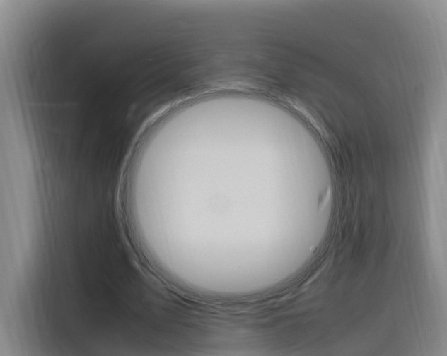 X0000116140583200911230933