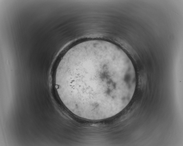 X0000116140584200911230933