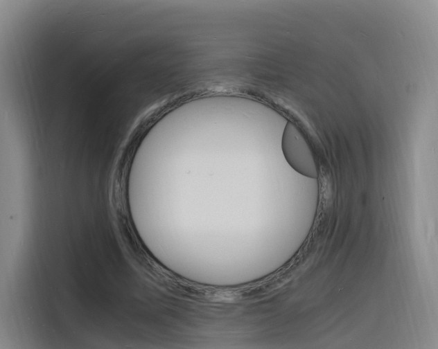 X0000116140587200911230933