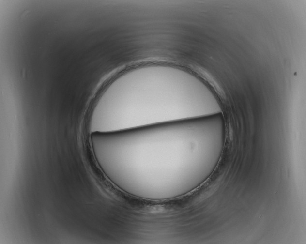 X0000116140588200911230933