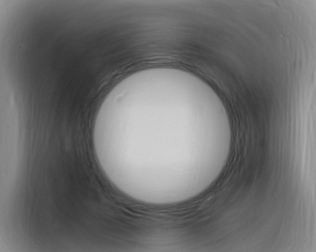 X0000116140595200911230933