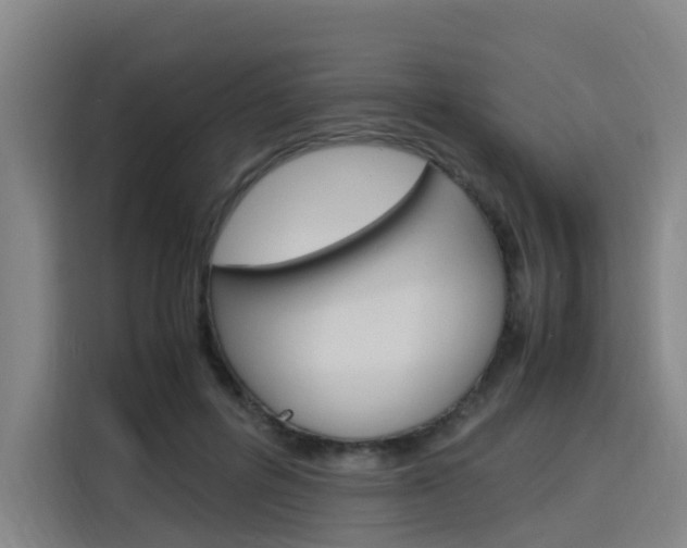 X0000116140600200911230933