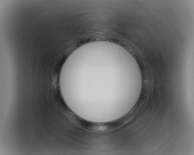 X0000116140610200911230933