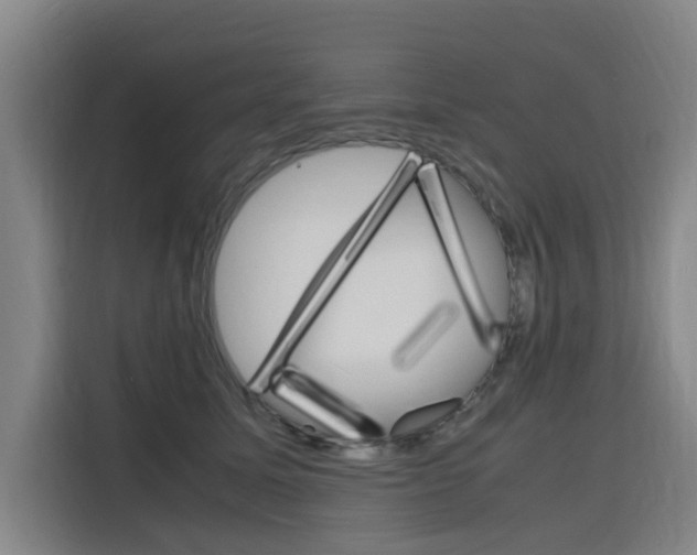 X0000116140611200911230933