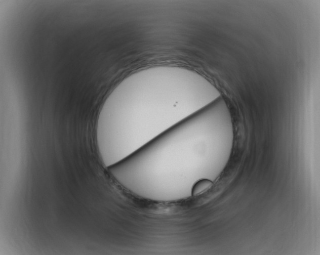 X0000116140612200911230933