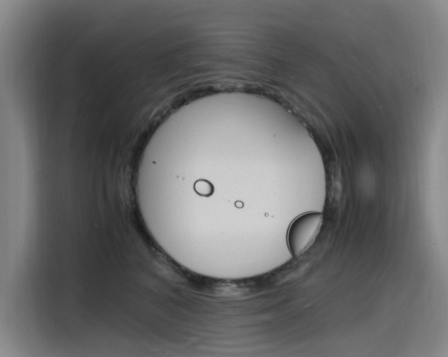 X0000116140616200911230933