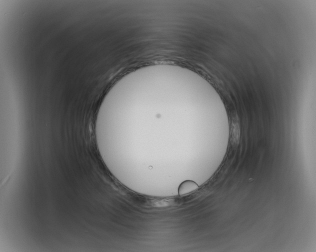 X0000116140618200911230933