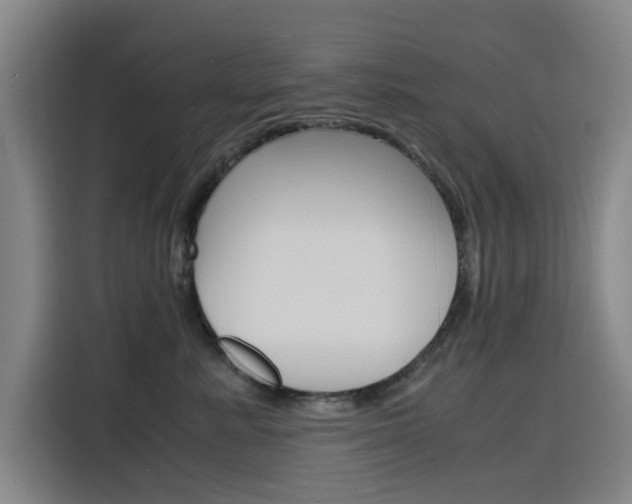 X0000116140619200911230933