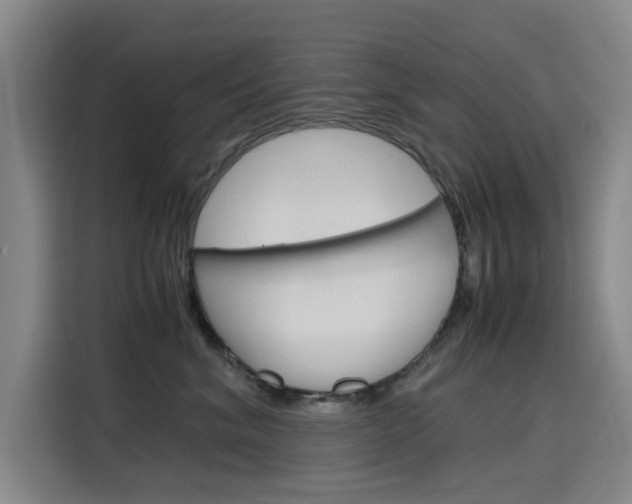 X0000116140620200911230933
