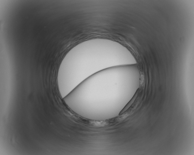 X0000116140621200911230933