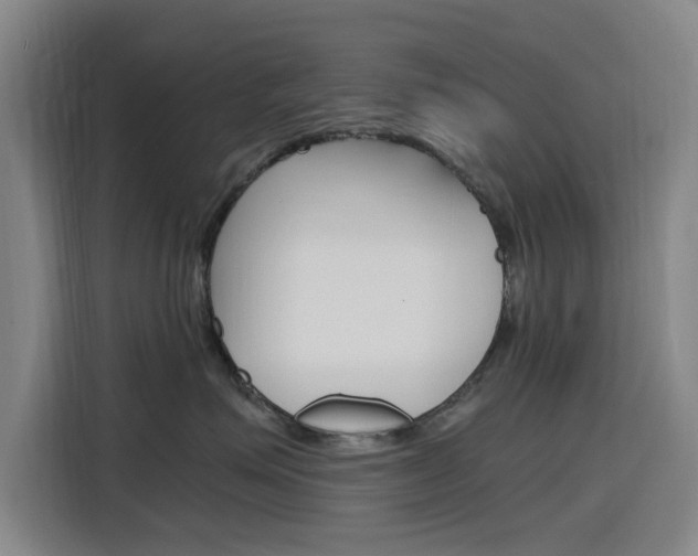 X0000116140623200911230933