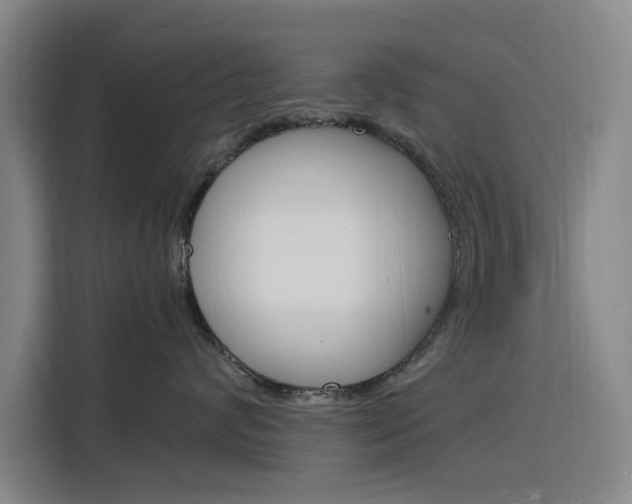 X0000116140624200911230933