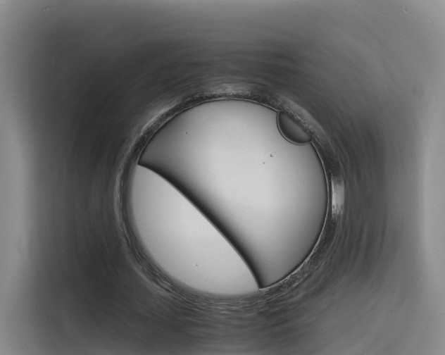 X0000116140627200911230932