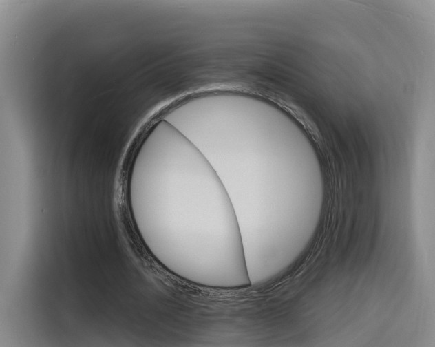 X0000116140628200911230932
