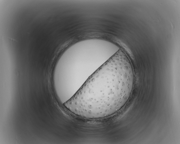 X0000116140633200911230932