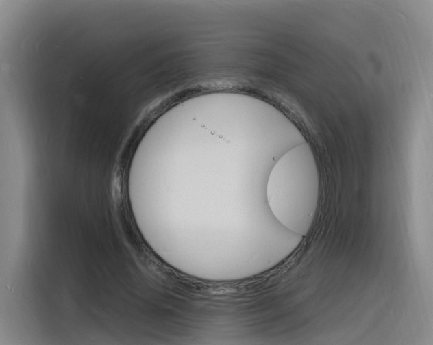 X0000116140636200911230932