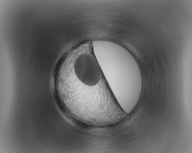 X0000116140638200911230932