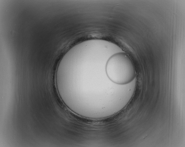 X0000116140639200911230932