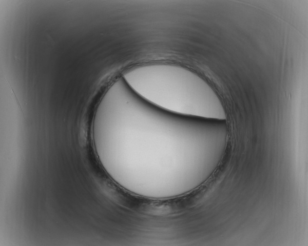 X0000116140640200911230932