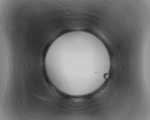 X0000116140645200911230932