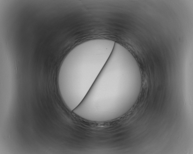 X0000116140647200911230932