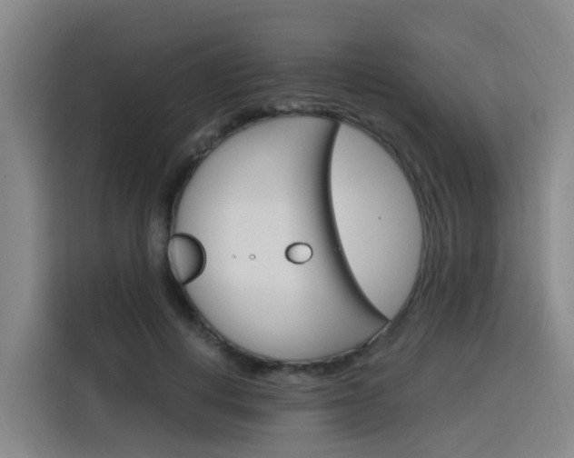X0000116140648200911230932