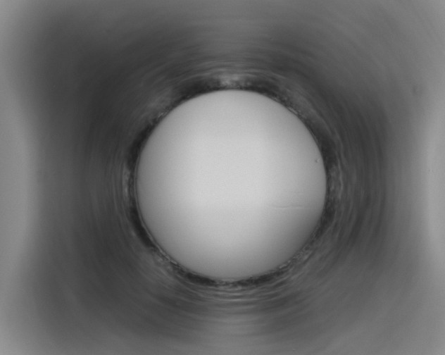 X0000116140650200911230932