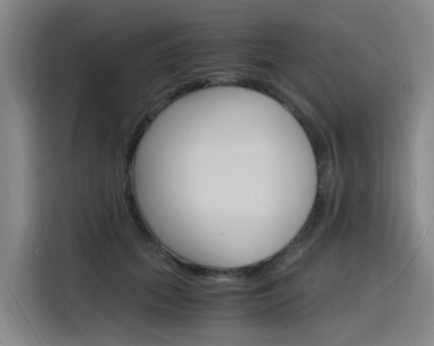 X0000116140655200911230932